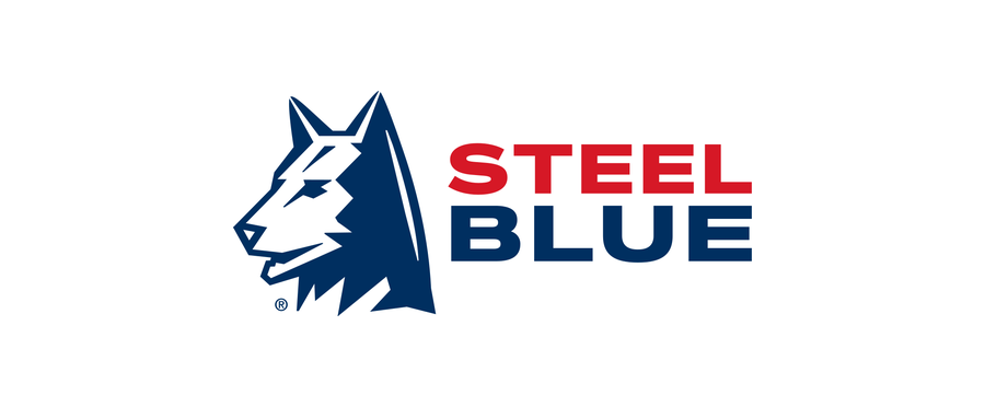 Steel Blue logo